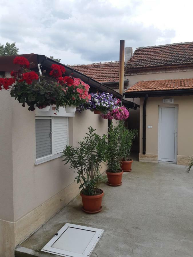 Villa Ros Guest House Swilengrad Zewnętrze zdjęcie