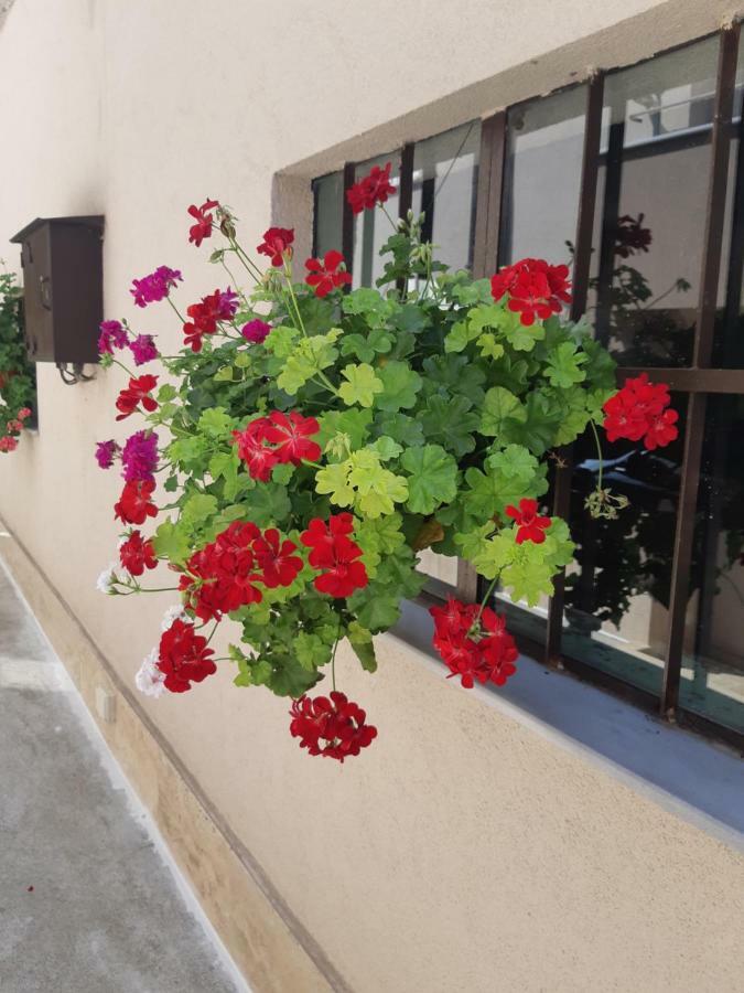 Villa Ros Guest House Swilengrad Zewnętrze zdjęcie