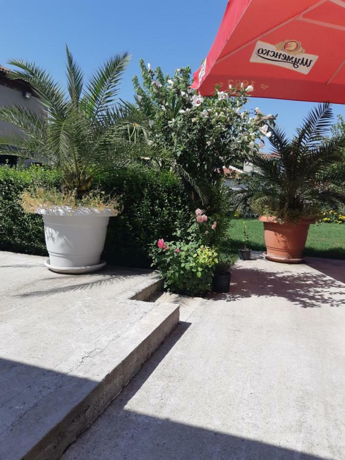 Villa Ros Guest House Swilengrad Zewnętrze zdjęcie