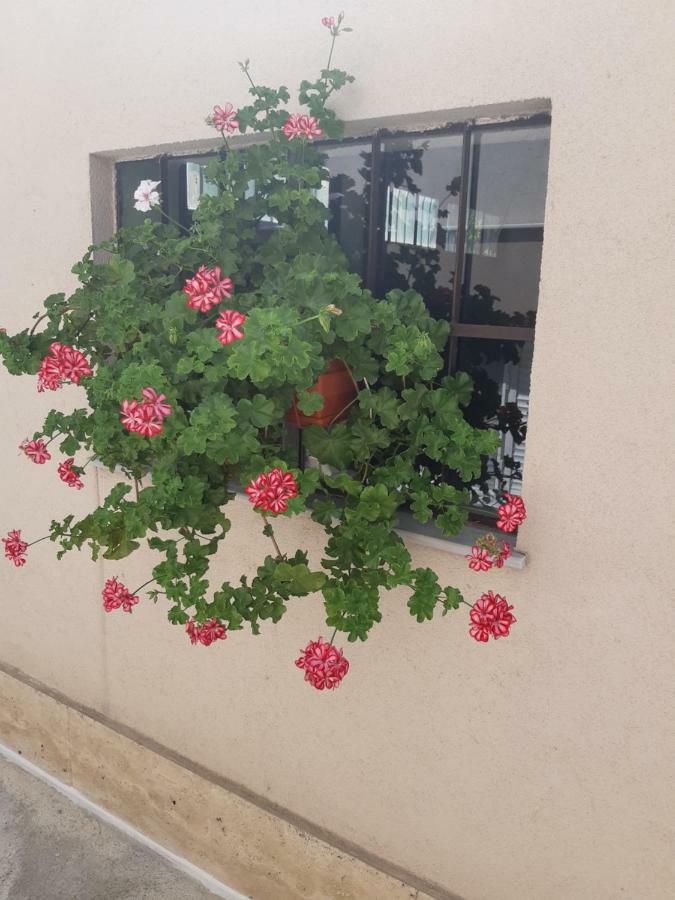 Villa Ros Guest House Swilengrad Zewnętrze zdjęcie