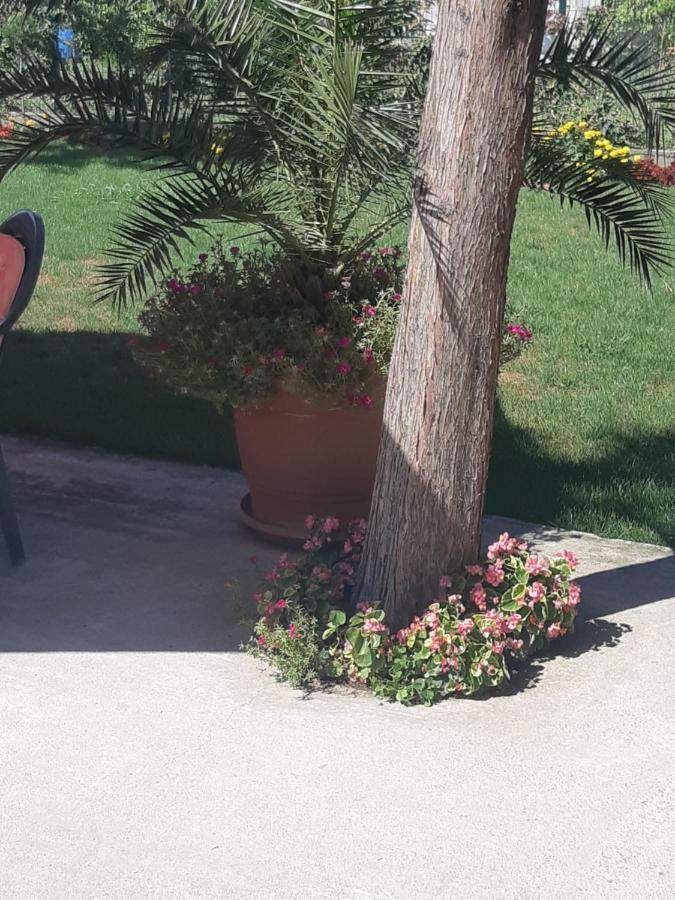 Villa Ros Guest House Swilengrad Zewnętrze zdjęcie