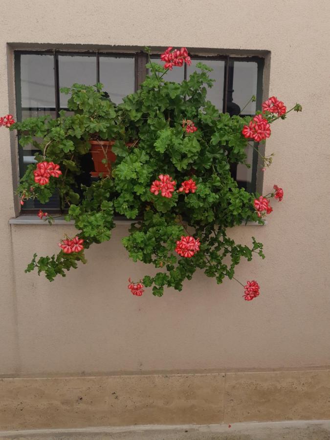 Villa Ros Guest House Swilengrad Zewnętrze zdjęcie