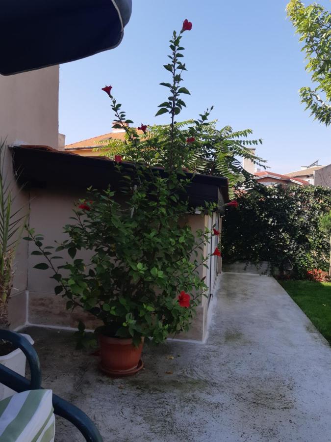 Villa Ros Guest House Swilengrad Zewnętrze zdjęcie